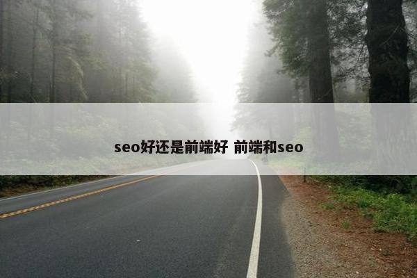 seo好还是前端好 前端和seo