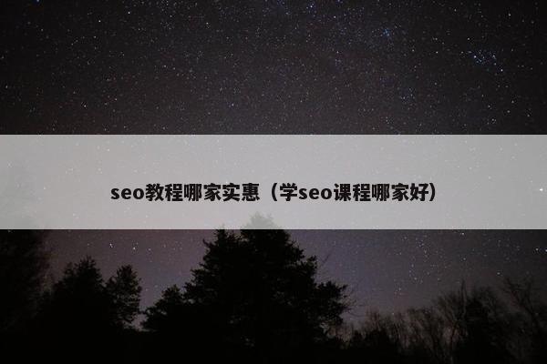 seo教程哪家实惠（学seo课程哪家好）