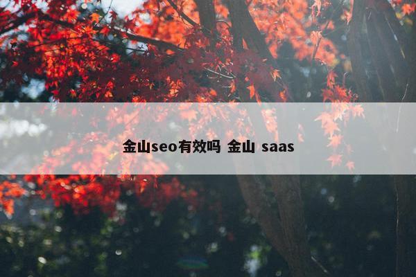 金山seo有效吗 金山 saas