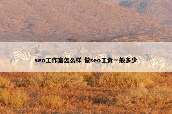 seo工作室怎么样 做seo工资一般多少