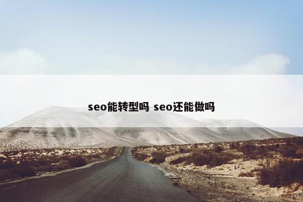 seo能转型吗 seo还能做吗