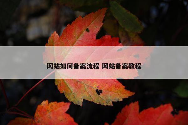 网站如何备案流程 网站备案教程