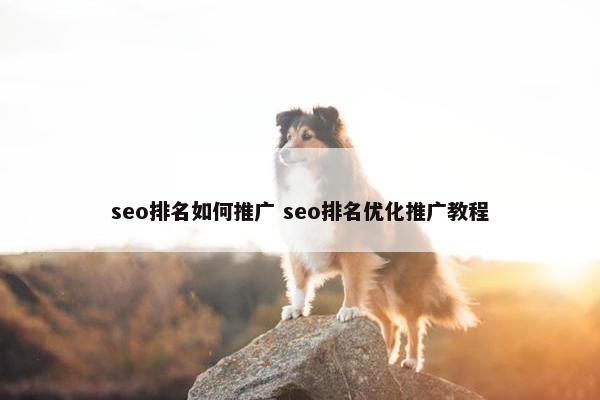 seo排名如何推广 seo排名优化推广教程