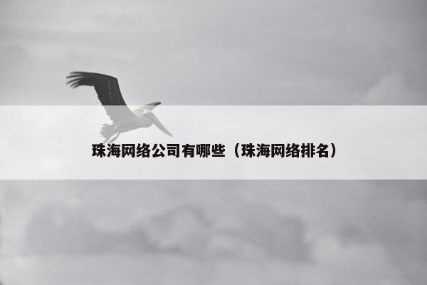 珠海网络公司有哪些（珠海网络排名）