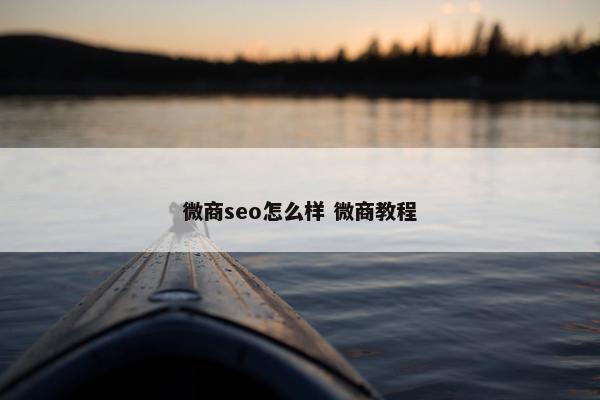 微商seo怎么样 微商教程