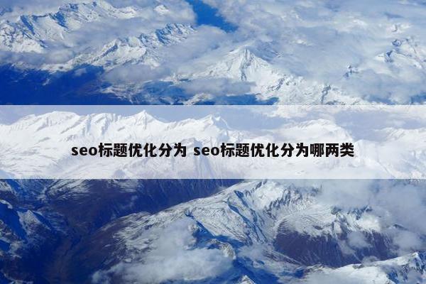 seo标题优化分为 seo标题优化分为哪两类