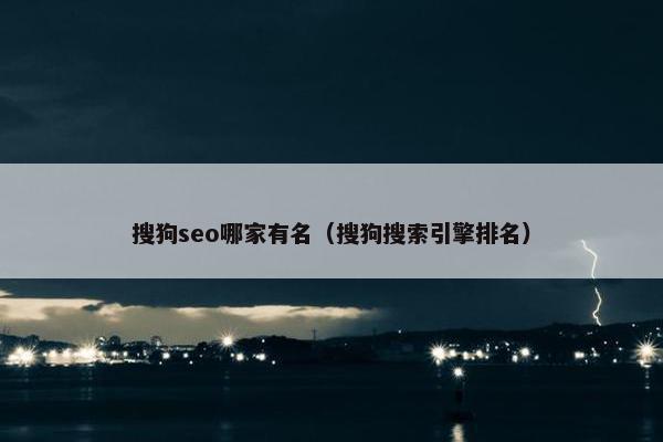 搜狗seo哪家有名（搜狗搜索引擎排名）