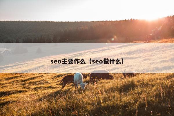 seo主要作么（seo做什么）