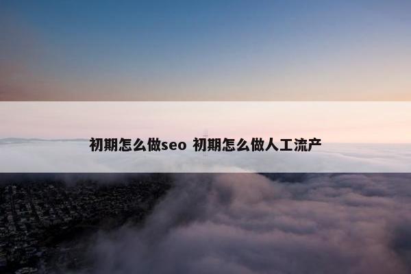 初期怎么做seo 初期怎么做人工流产