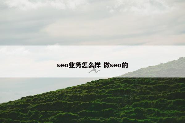 seo业务怎么样 做seo的