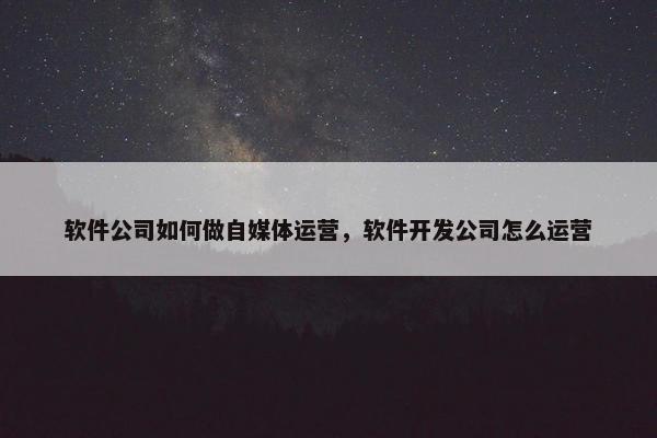 软件公司如何做自媒体运营，软件开发公司怎么运营