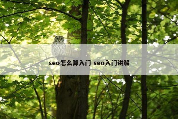 seo怎么算入门 seo入门讲解