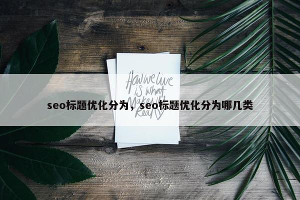 seo标题优化分为，seo标题优化分为哪几类