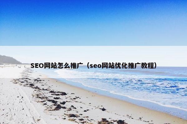 SEO网站怎么推广（seo网站优化推广教程）