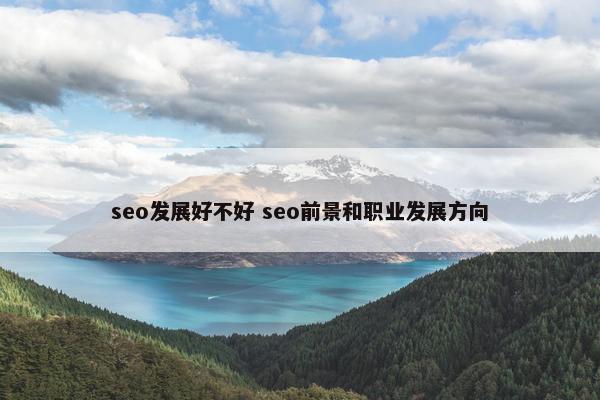 seo发展好不好 seo前景和职业发展方向