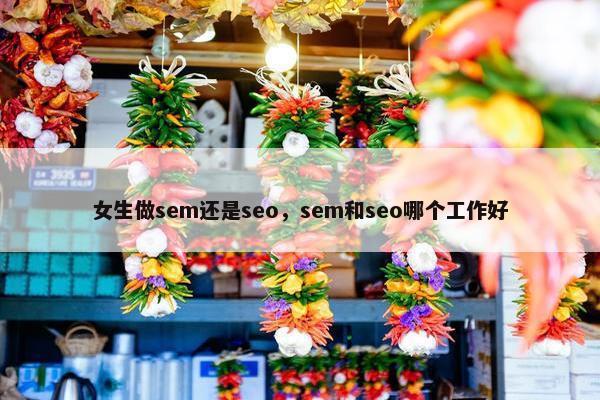 女生做sem还是seo，sem和seo哪个工作好