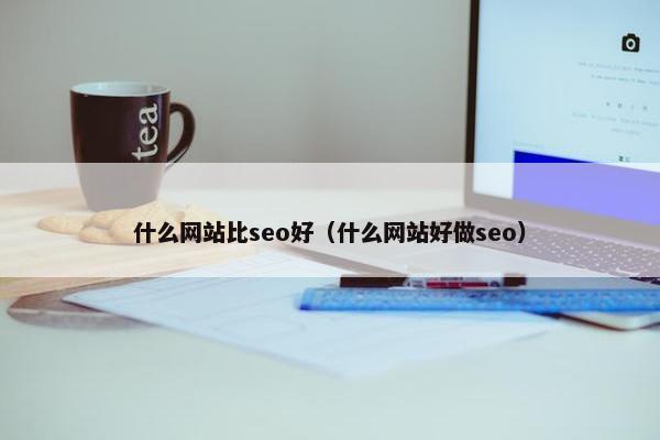 什么网站比seo好（什么网站好做seo）