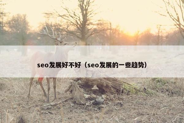 seo发展好不好（seo发展的一些趋势）