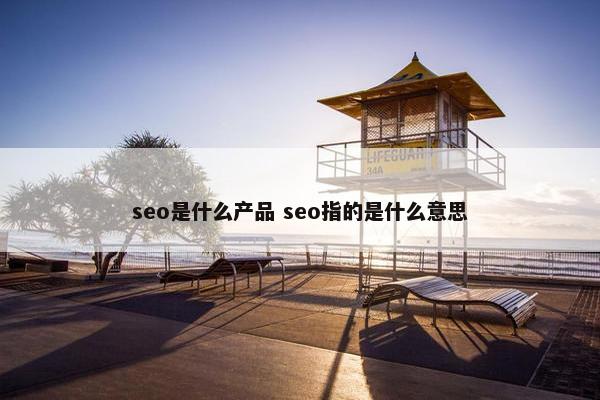 seo是什么产品 seo指的是什么意思