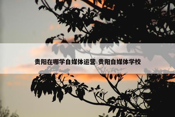 贵阳在哪学自媒体运营 贵阳自媒体学校