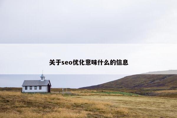 关于seo优化意味什么的信息