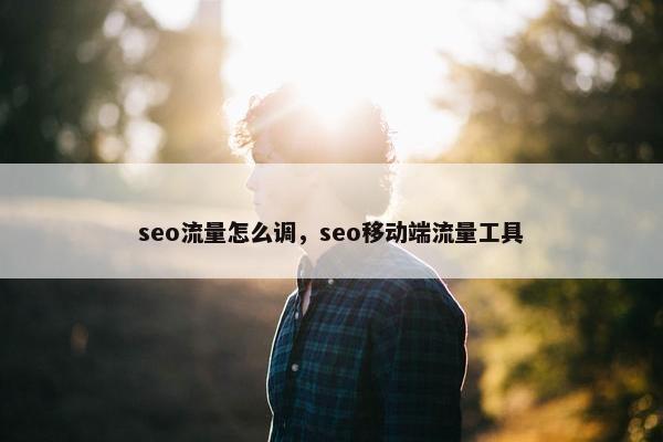 seo流量怎么调，seo移动端流量工具