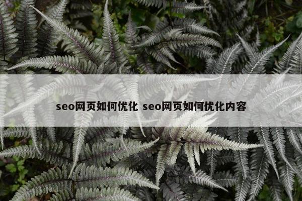 seo网页如何优化 seo网页如何优化内容