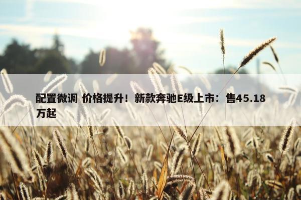 配置微调 价格提升！新款奔驰E级上市：售45.18万起