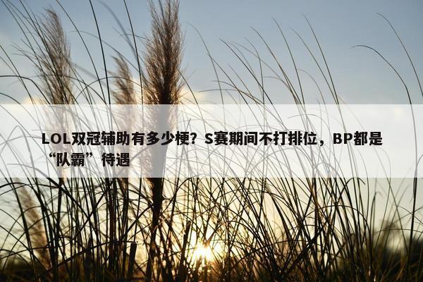 LOL双冠辅助有多少梗？S赛期间不打排位，BP都是“队霸”待遇