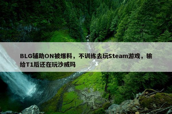 BLG辅助ON被爆料，不训练去玩Steam游戏，输给T1后还在玩沙威玛