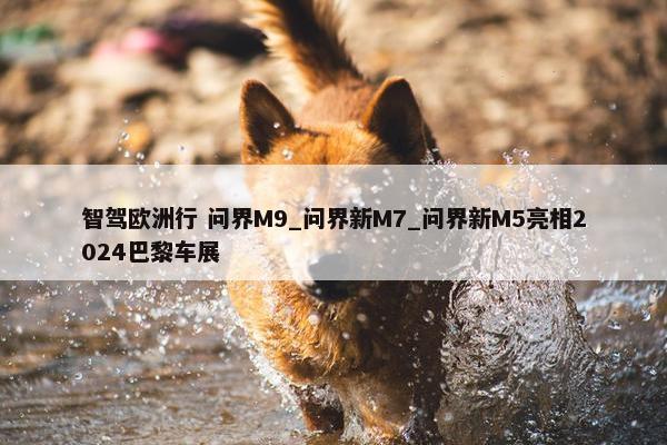 智驾欧洲行 问界M9_问界新M7_问界新M5亮相2024巴黎车展