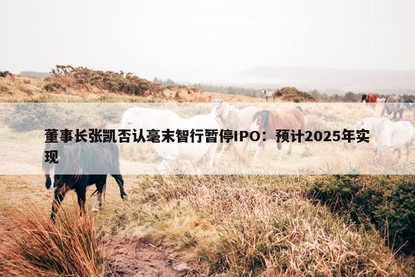 董事长张凯否认毫末智行暂停IPO：预计2025年实现