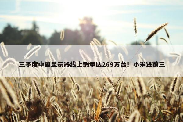 三季度中国显示器线上销量达269万台！小米进前三