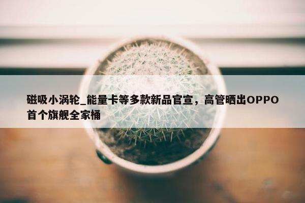 磁吸小涡轮_能量卡等多款新品官宣，高管晒出OPPO首个旗舰全家桶