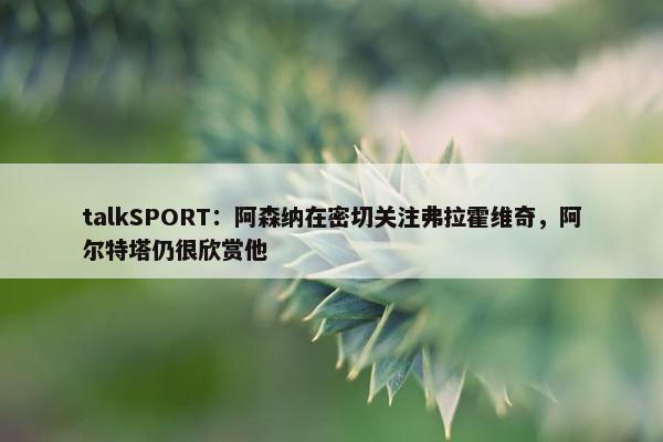 talkSPORT：阿森纳在密切关注弗拉霍维奇，阿尔特塔仍很欣赏他