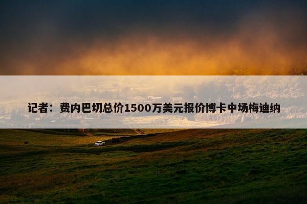 记者：费内巴切总价1500万美元报价博卡中场梅迪纳