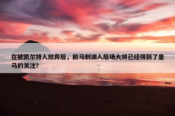 在被凯尔特人放弃后，前马刺湖人后场大将已经得到了皇马的关注？