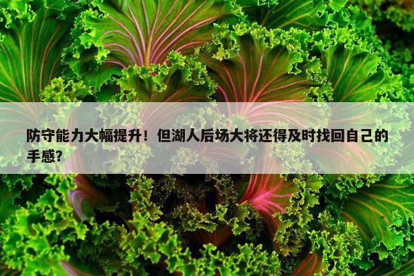 防守能力大幅提升！但湖人后场大将还得及时找回自己的手感？