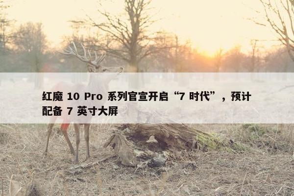 红魔 10 Pro 系列官宣开启“7 时代”，预计配备 7 英寸大屏