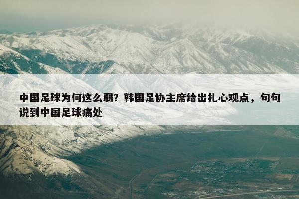 中国足球为何这么弱？韩国足协主席给出扎心观点，句句说到中国足球痛处