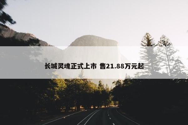 长城灵魂正式上市 售21.88万元起