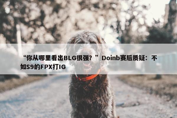 “你从哪里看出BLG很强？”Doinb赛后质疑：不如S9的FPX打IG