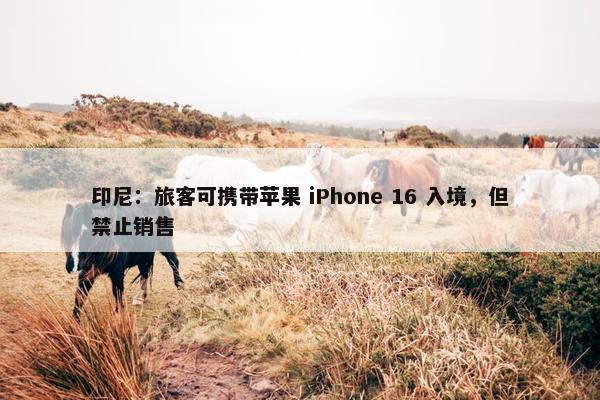 印尼：旅客可携带苹果 iPhone 16 入境，但禁止销售