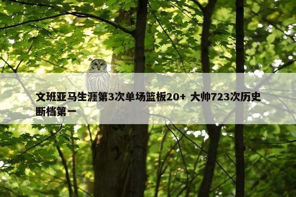 文班亚马生涯第3次单场篮板20+ 大帅723次历史断档第一