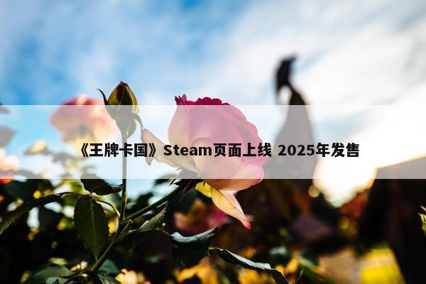 《王牌卡国》Steam页面上线 2025年发售