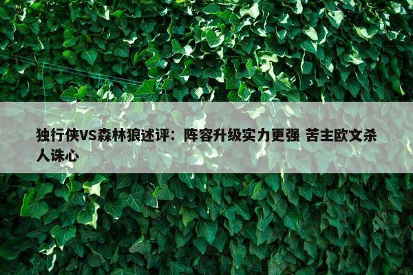 独行侠VS森林狼述评：阵容升级实力更强 苦主欧文杀人诛心