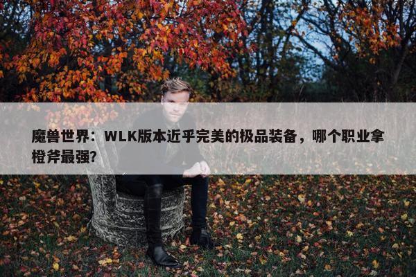 魔兽世界：WLK版本近乎完美的极品装备，哪个职业拿橙斧最强？