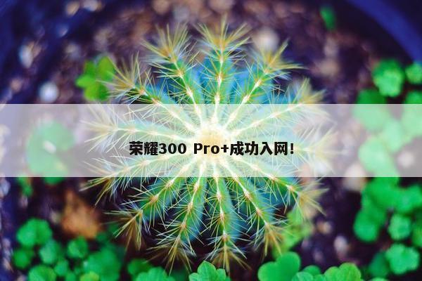 荣耀300 Pro+成功入网！