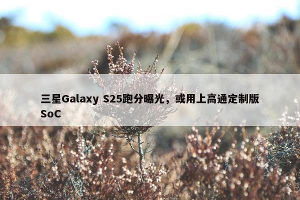 三星Galaxy S25跑分曝光，或用上高通定制版SoC