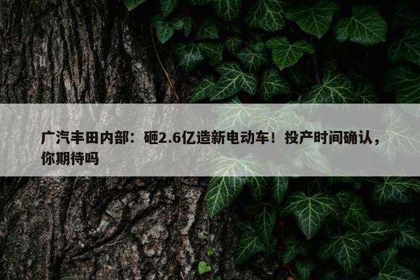 广汽丰田内部：砸2.6亿造新电动车！投产时间确认，你期待吗